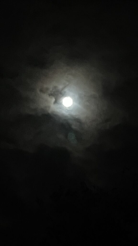 ビーバームーン