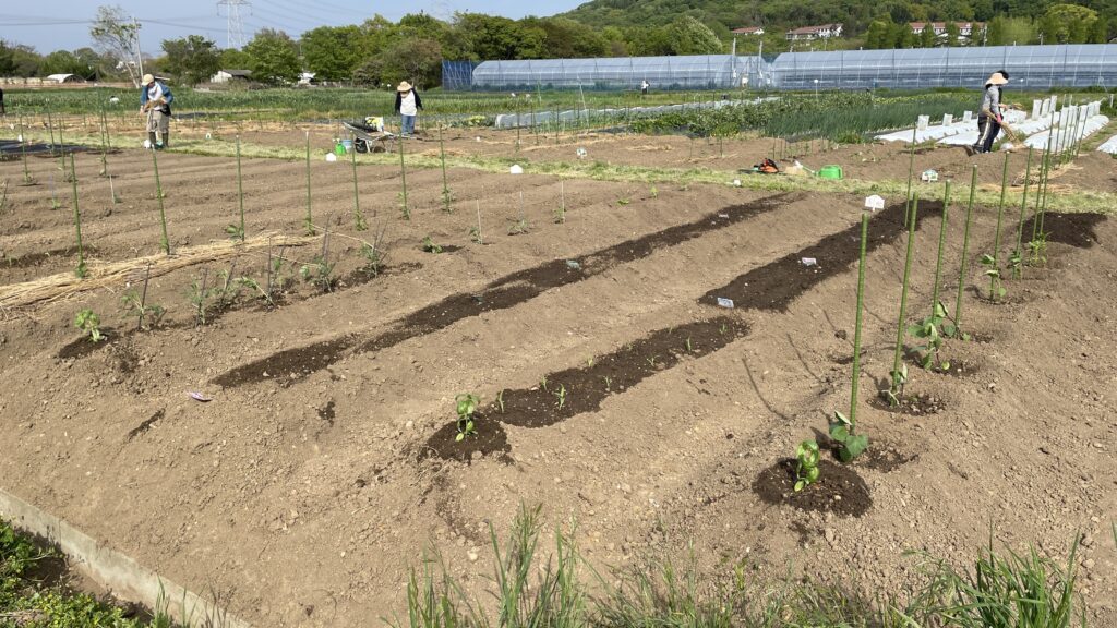 農業のお勉強　３の巻