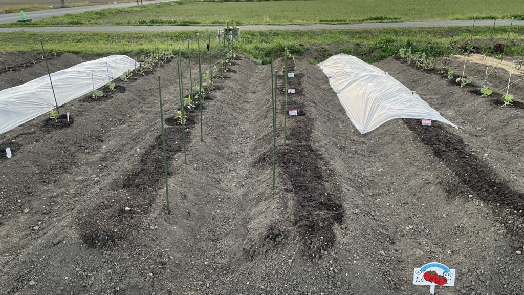 農業のお勉強　４の巻