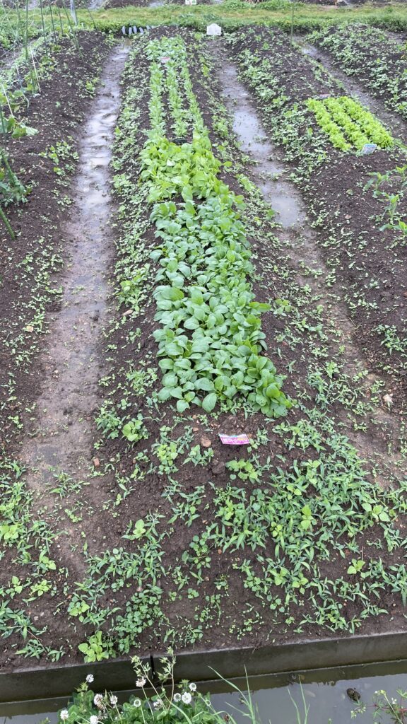 農業のお勉強　５の巻