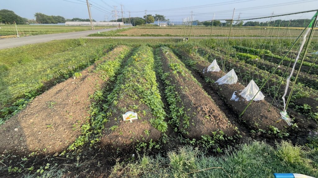 農業のお勉強　６の巻