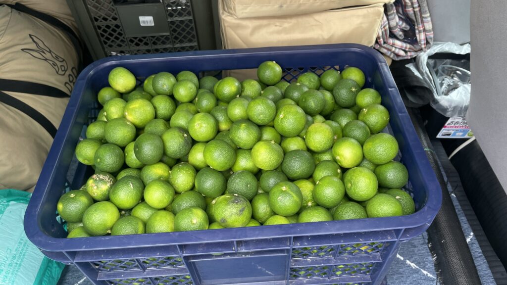 今年もスダチ旅！　行ってきましたｗ